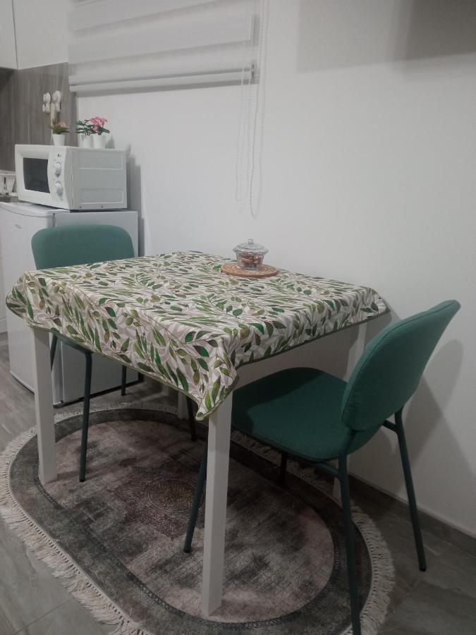 בלגרד Studio Lotos מראה חיצוני תמונה